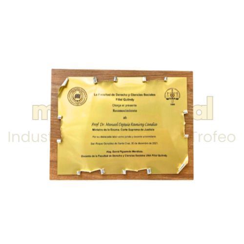 Imagen de Placa de reconocimiento - M3.110